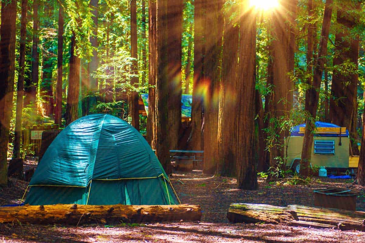 Redwood National Park RV Camping
