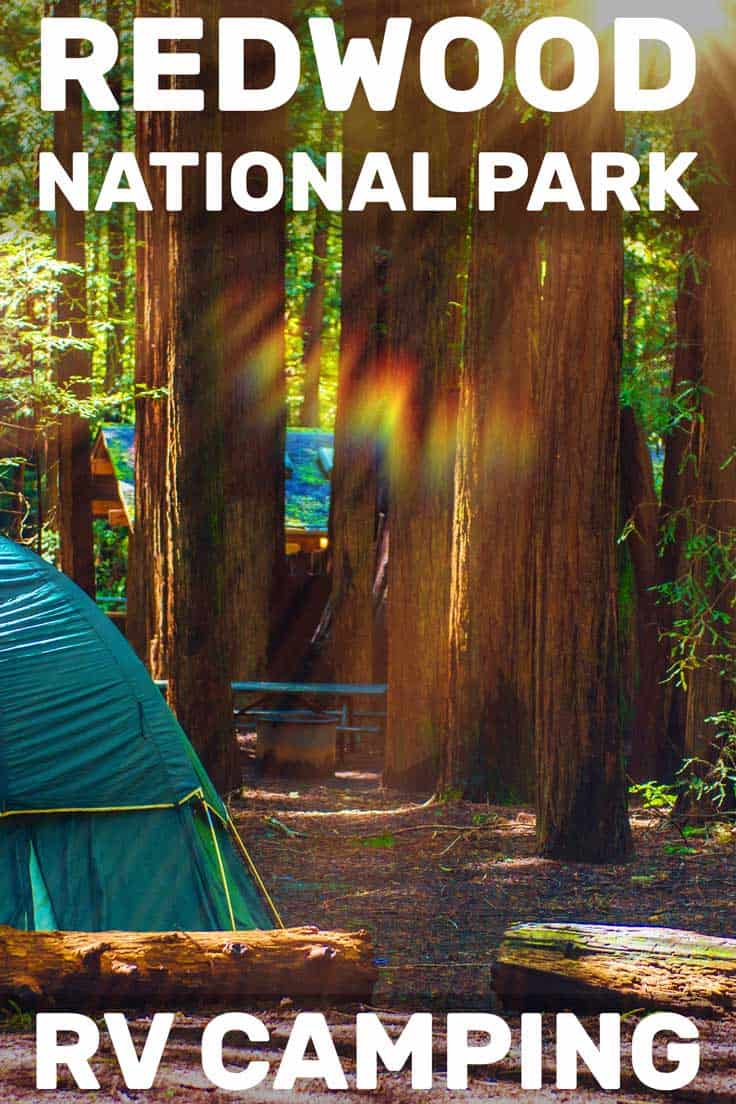 Redwood National Park RV Camping