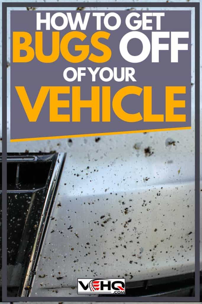 How to Get Bugs Off Of Your Vehicle