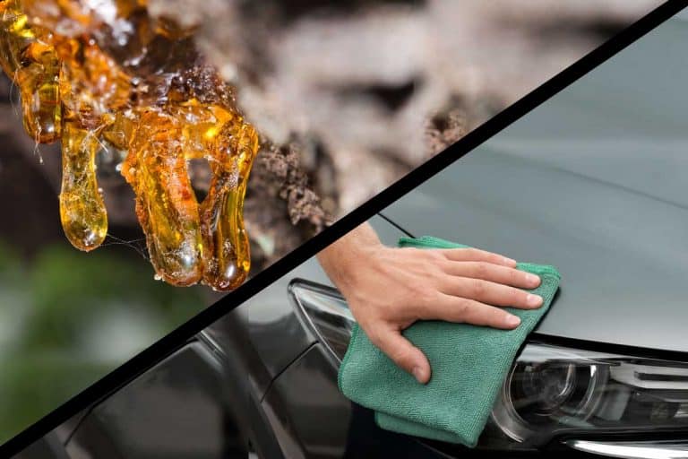 How To Remove Tree Sap From Your Car (Without Ruining The Paint)