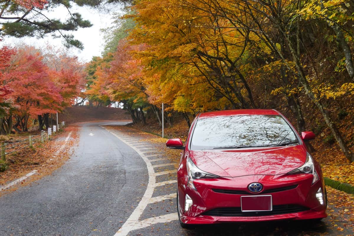 Frontside of Toyota Prius hybrid car model 2016 stopping at roadside in autumn