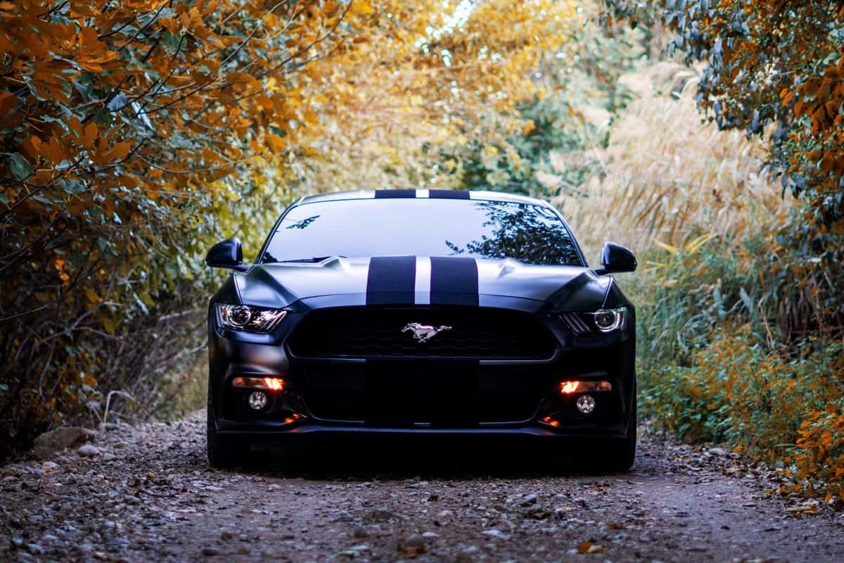 Luxurious black Ford Mustang on a rocky patch of road with dim lights turned on, 16 Awesome Gift Ideas for Mustang Lovers
