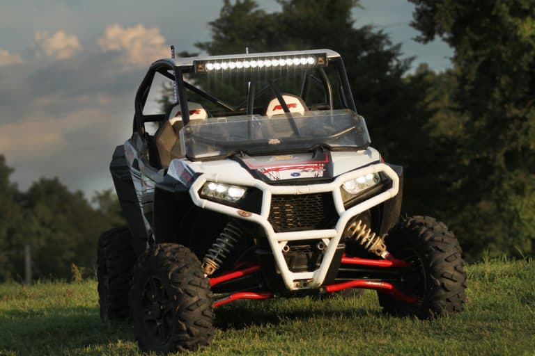 A Polaris RZR parked on a grassy field, How Much Does Polaris RZR Weigh?