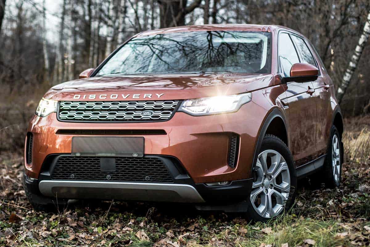 Land Rover Discovery sport parked in the gray forest, What Are The Tallest SUVs? [6 Models That Fit The Bill]