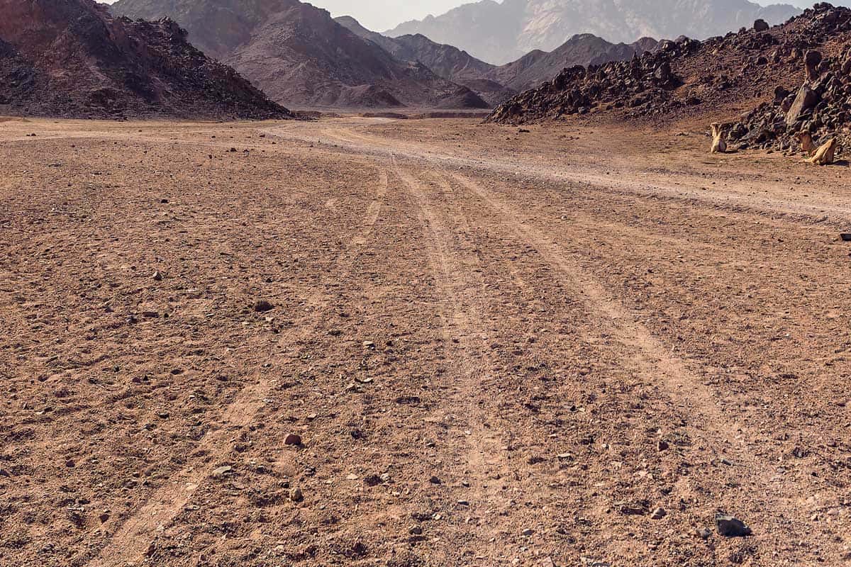Rough terrain with tracks from cars in a desert, How Much Does A Sherp ATV Cost?