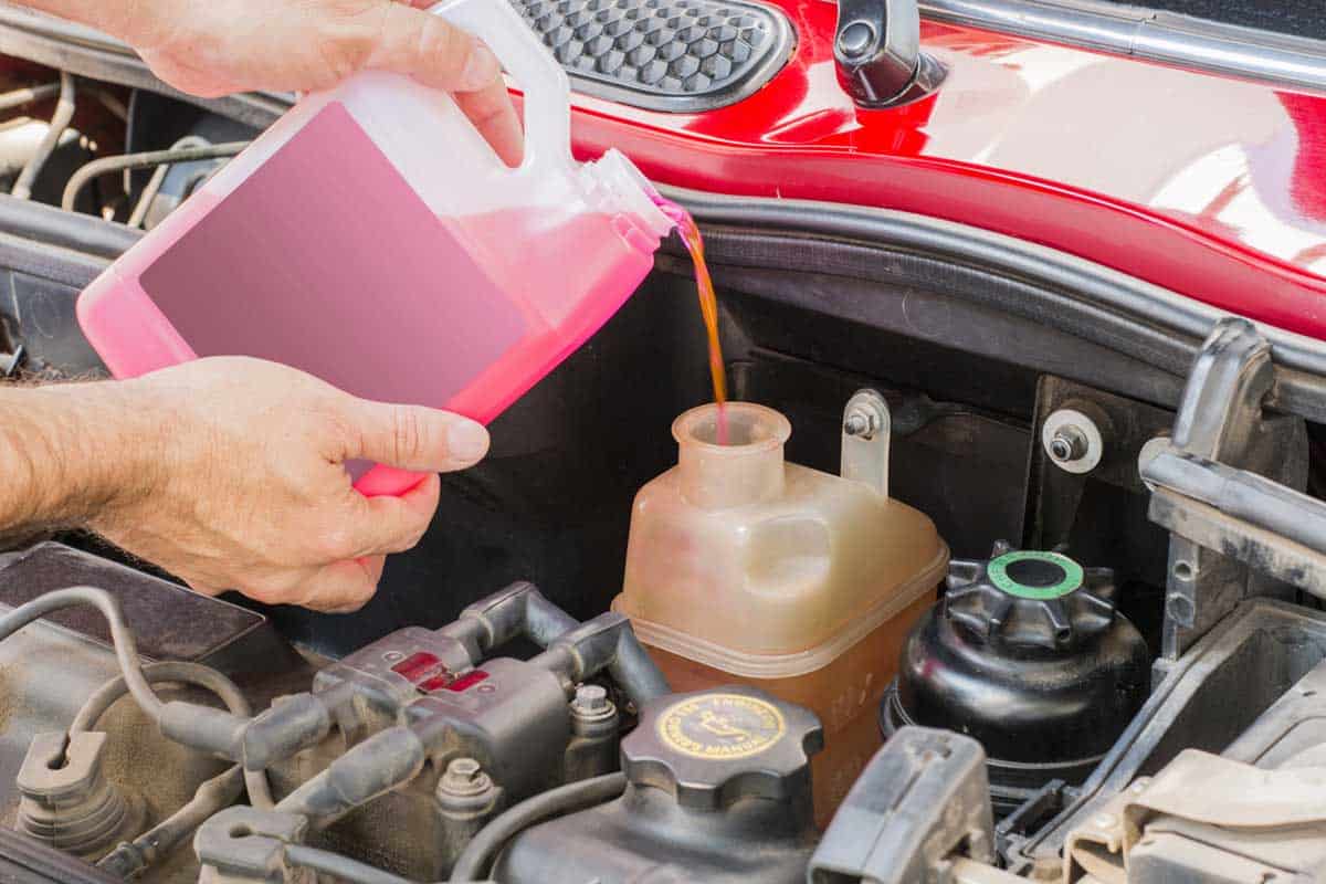 A person pouring car coolant in a car engine, How to Add Antifreeze To Your Vehicle [6 Crucial Steps]