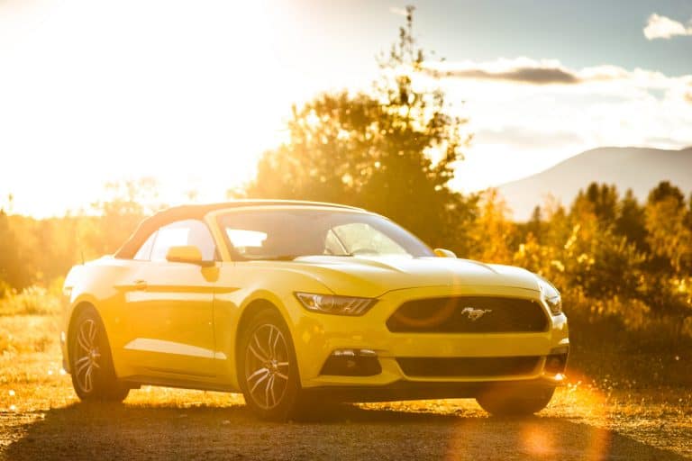 A yellow convertible Ford Mustang photographed at dawn, 21 Types Of Ford Cars [And that's without trucks!]