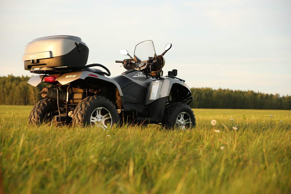 the quad bike Arctic Cat on the grass back view. Gray ATV in a clearing in a forest in summer at sunset.