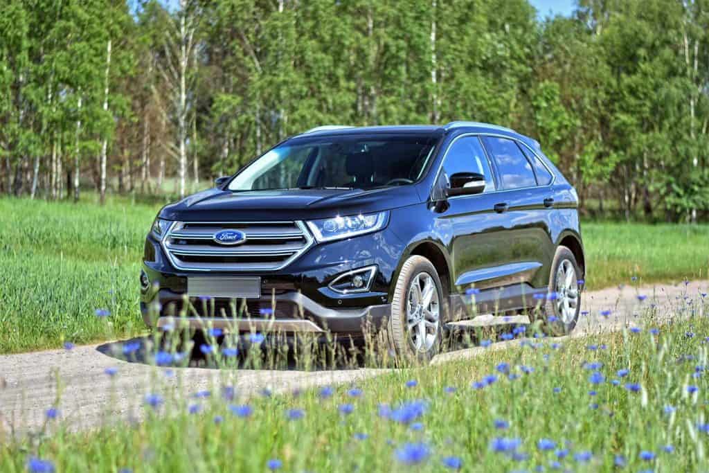 2016 Ford Edge stopped on the grass
