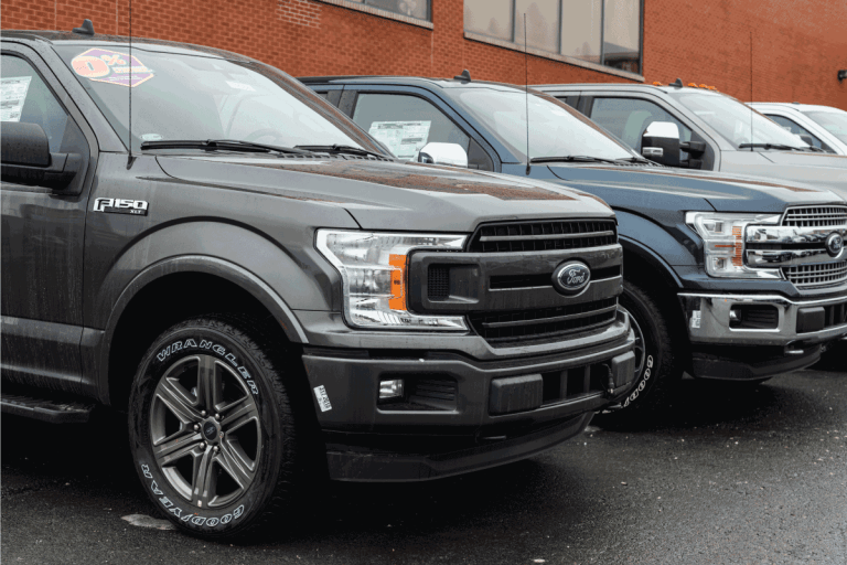 black-and-blue-Ford-F-150-pickup-trucks-at-a-dealership-wet-from-rain.-What's-The-Best-Oil-For-A-Ford-F-150