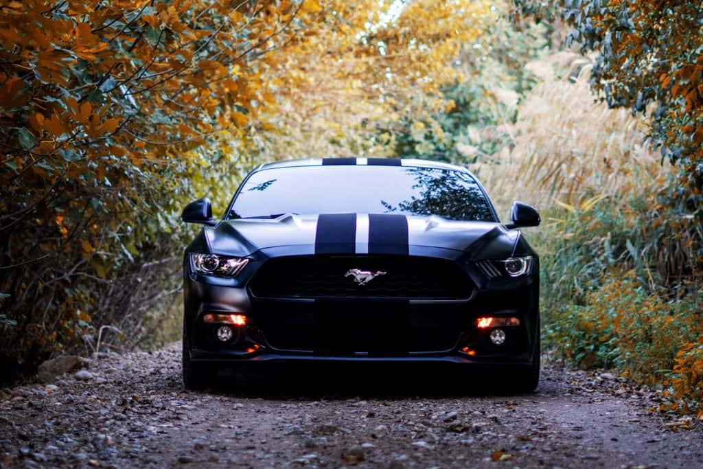 A black colored and luxurious Ford Mustang GT