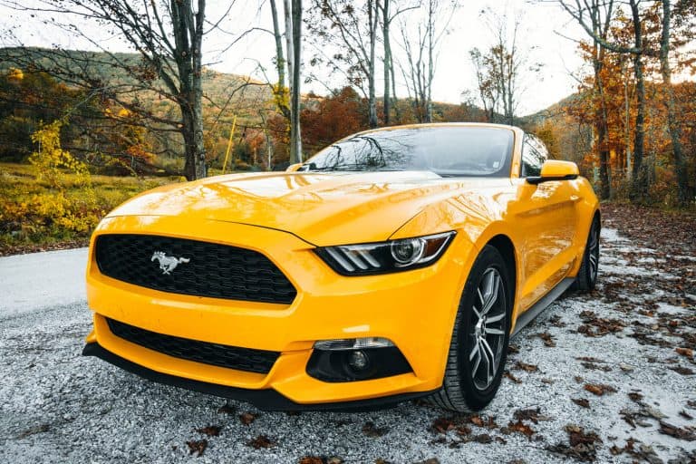 A yellow colored Ford Mustang GT parked in the woods, Does A Ford Mustang Ecoboost Have Turbo?