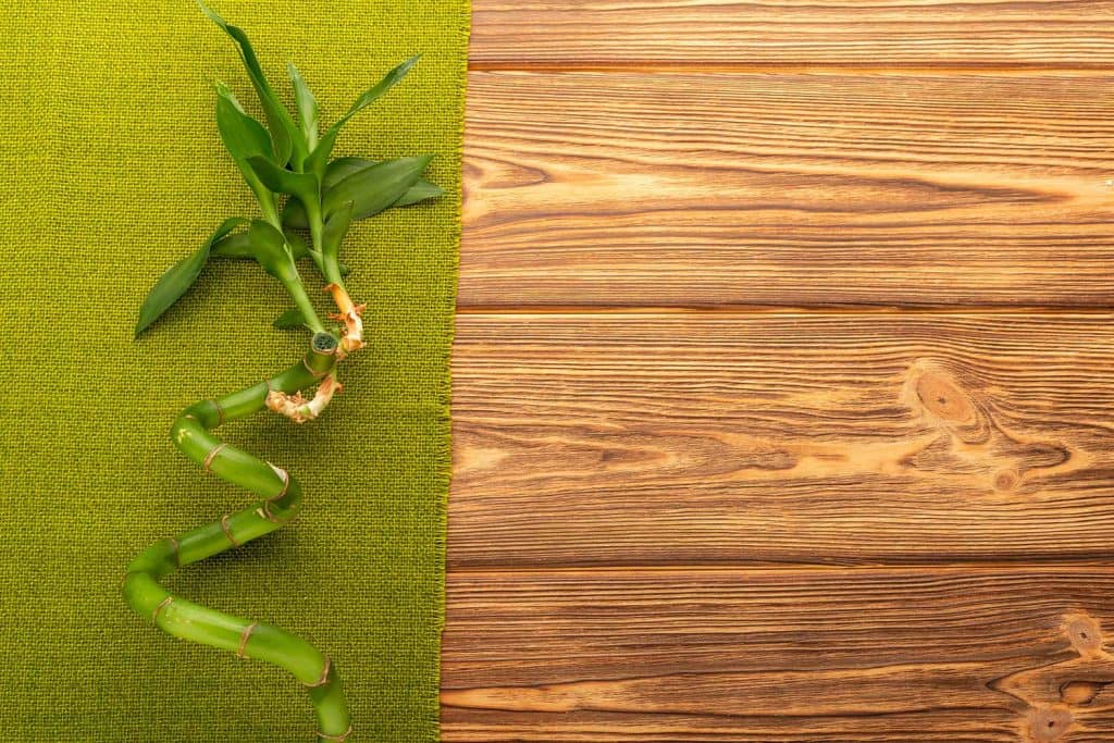 Bamboo branch with green towel on wooden background
