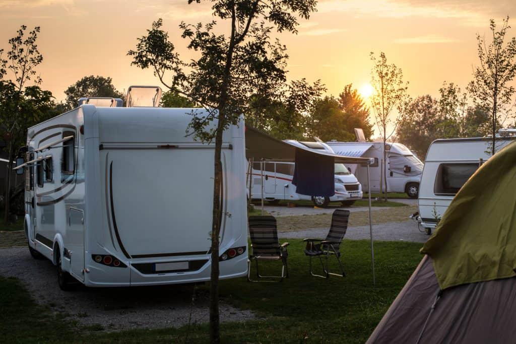 RVs parked on the camping area of a small forest park