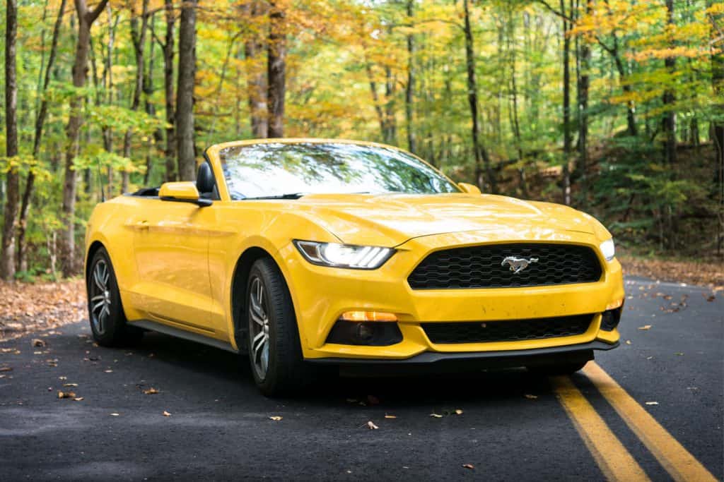 View of a yellow Ford Mustang GT convertible 2016 version parked on the middle of the road of the Nehantic State Forest in Conncticut, How Much Does A Ford Mustang Weigh?