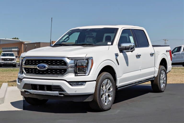 White Ford F-150 Platinum display at a dealership. The Ford F150 is available in XL, XLT, Lariat, King Ranch, and Limited models.
