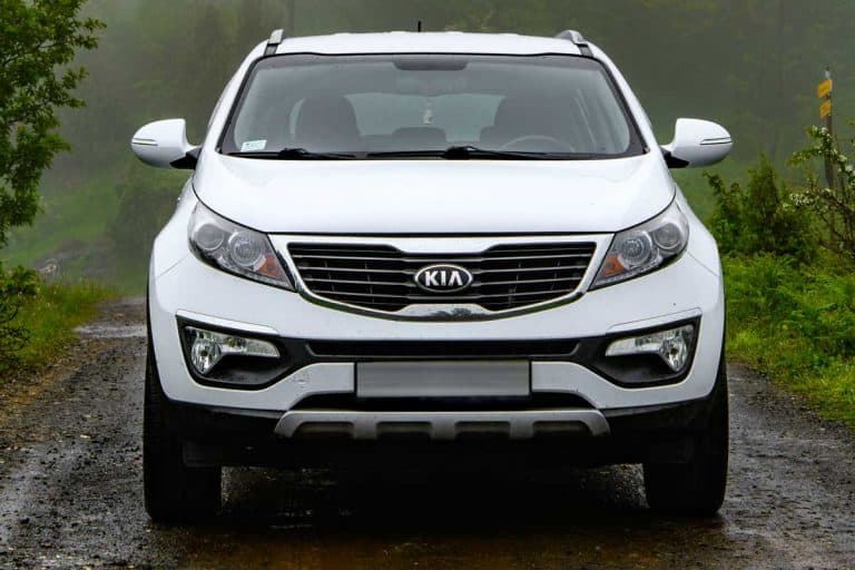 Kia Sportage in the foggy woods, How To Turn On The Fog Lights On A Kia