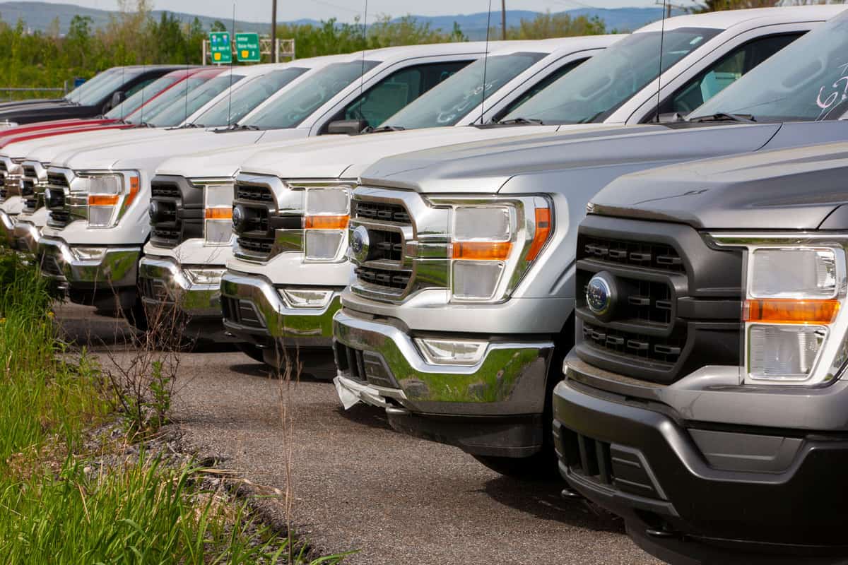 Ford F-150s lined up at a dealership, What Is The Platinum Ultimate Package For Ford Trucks?