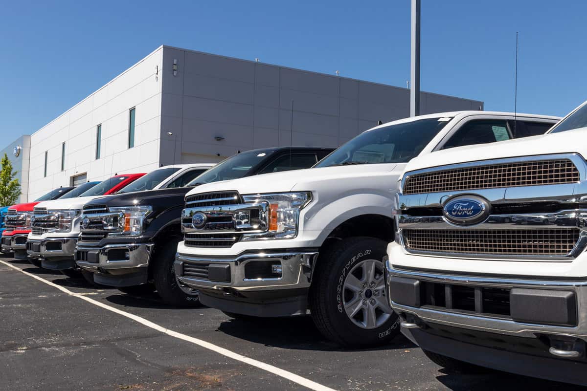 A line of Ford F series at a Ford dealership, How To Install A Brush Guard On A Ford F-150