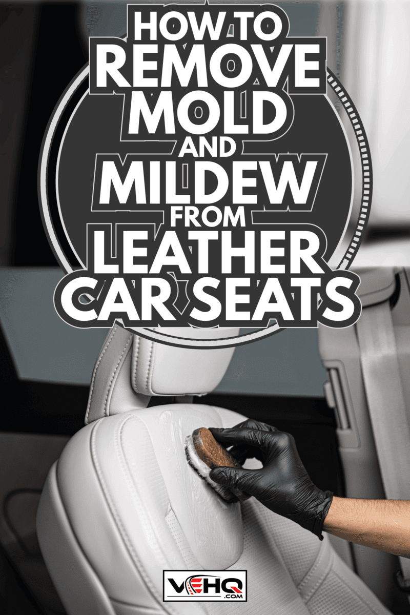 Man car detailing studio worker cleaning car leather seat with a brush. How To Remove Mold And Mildew From Leather Car Seats