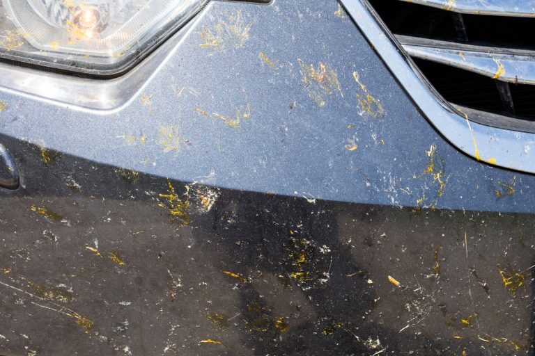 Bug splats on the bumper of the car, Bugs Etched Into Car Paint—What To Do?