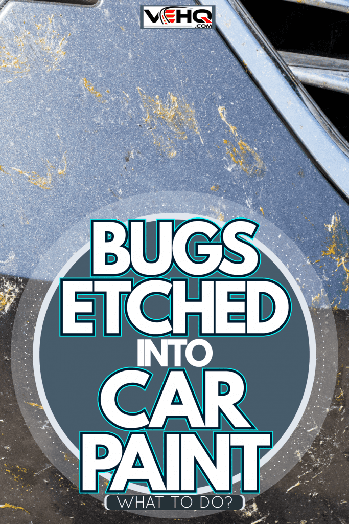 Bug splats on the bumper of the car, Bugs Etched Into Car Paint—What To Do?