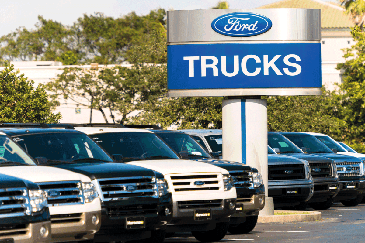 Ford trucks at a car dealership.