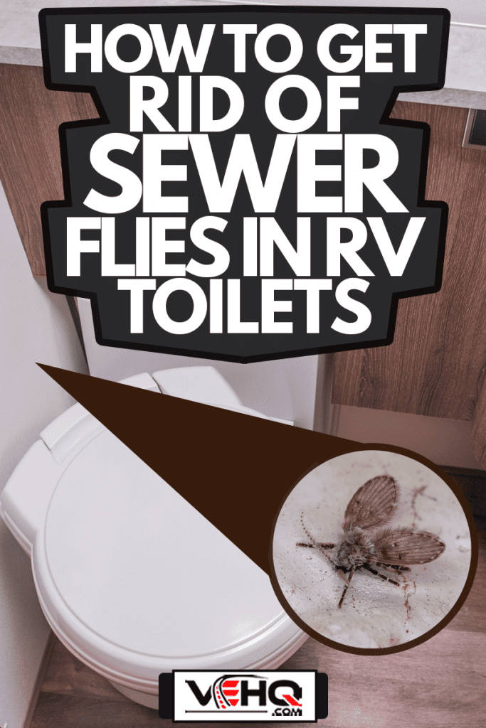Rv bathroom toilet with Sewer fly, How To Get Rid Of Sewer Flies In RV Toilets