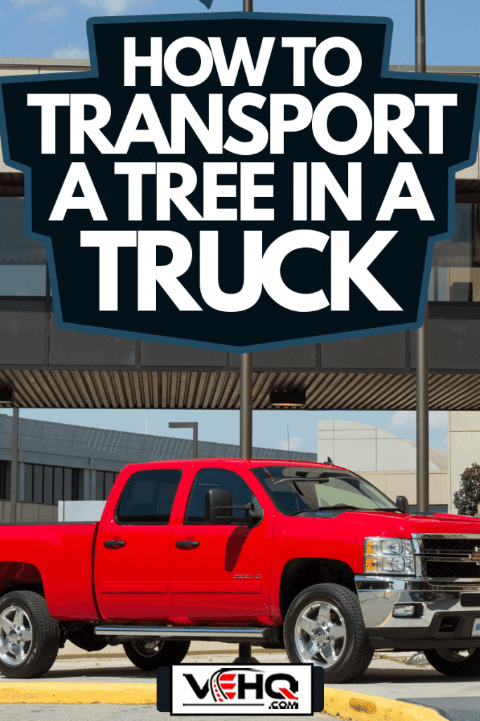 Chevrolet Heavy Duty 2500 truck shot, How To Transport A Tree In A Truck