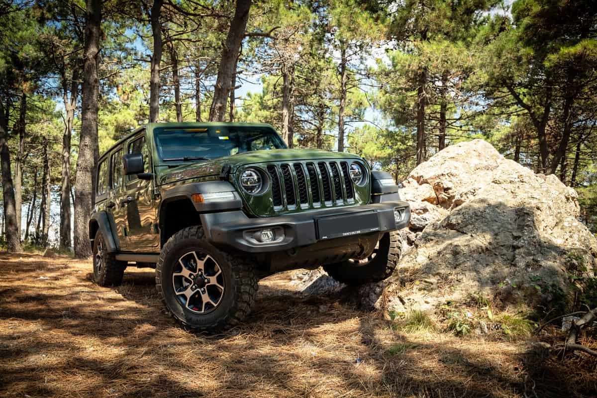Jeep Wrangler Rubicon goes off the road on the middle of the forest