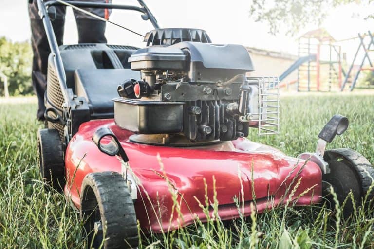 Lawn mower cutting green grass in backyard, Can You Use Car Motor Oil In A Lawn Mower?