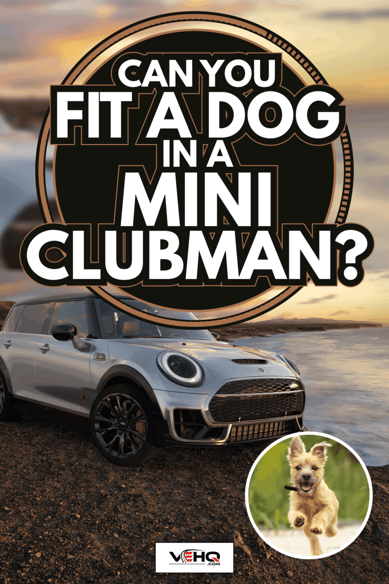 The Mini John Cooper Works Clubman is the perfect recreational vehicle, beside a cliff near the ocean and a dog. Can You Fit A Dog In A Mini Clubman