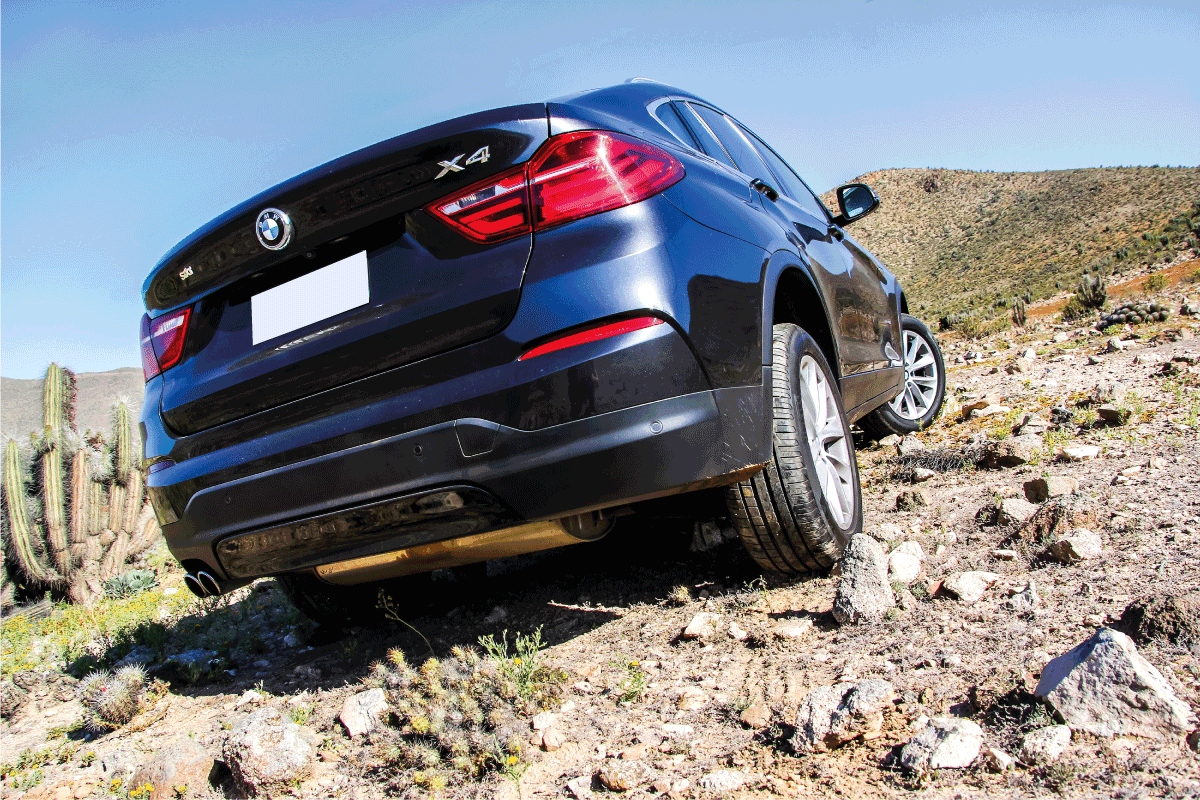 BMW X4 in the desert scene with cacti all around. BMW Is Shaking—What Could Be Wrong