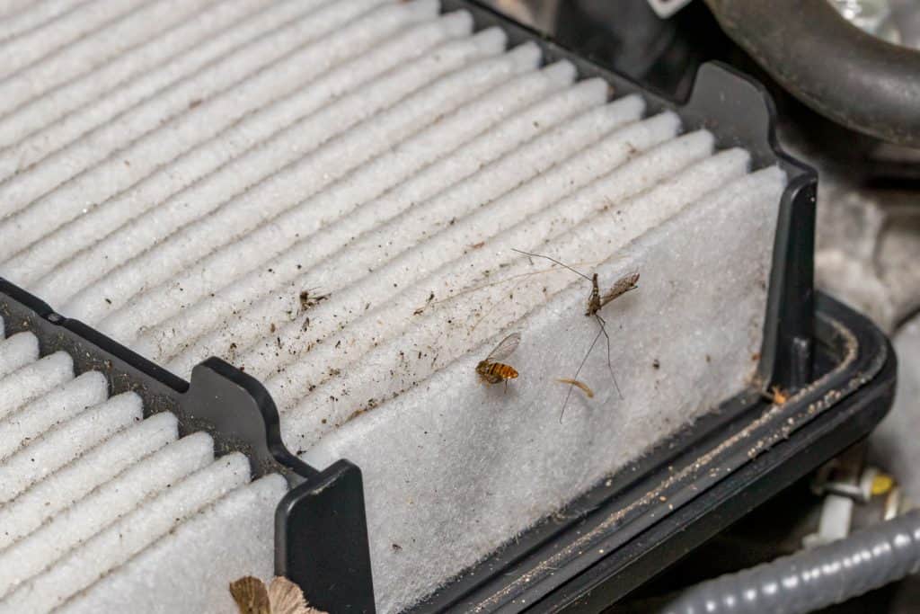 A dirty car air filter in need of replacement