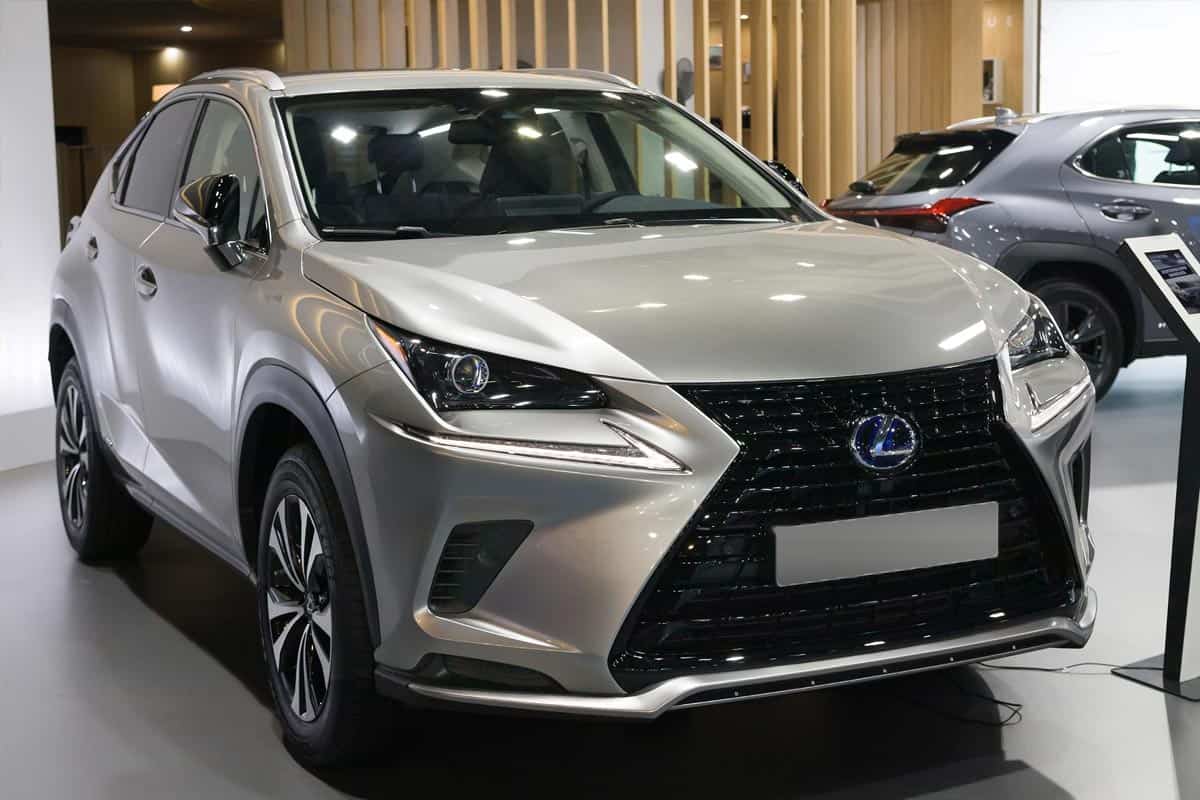 Lexus NX 300h at automobile car show 2021 in Barcelona, What Are The Lexus NX Trim Levels And Packages?