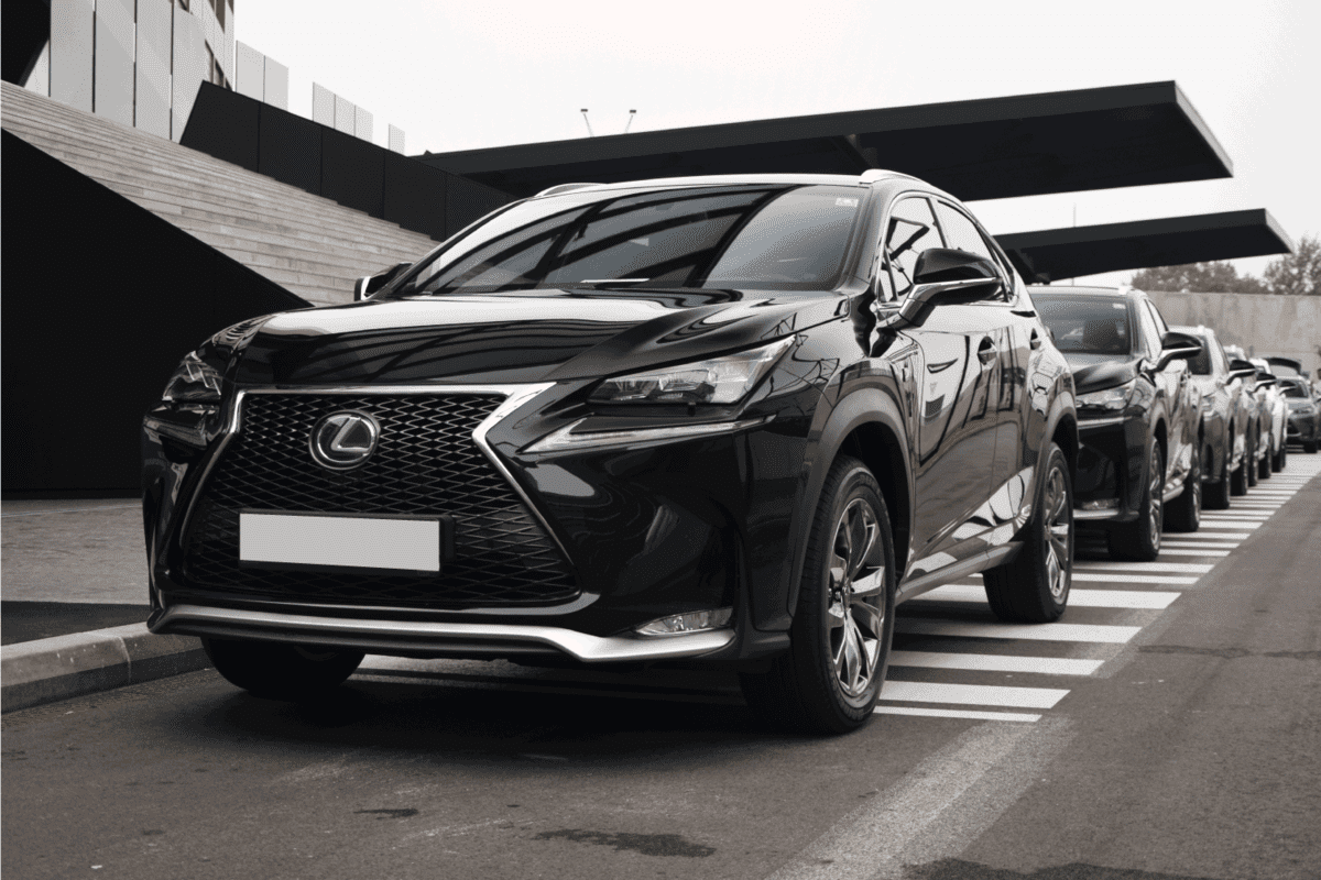Lexus NX at the international press launch. The cars waiting on the parking before the first tests drives