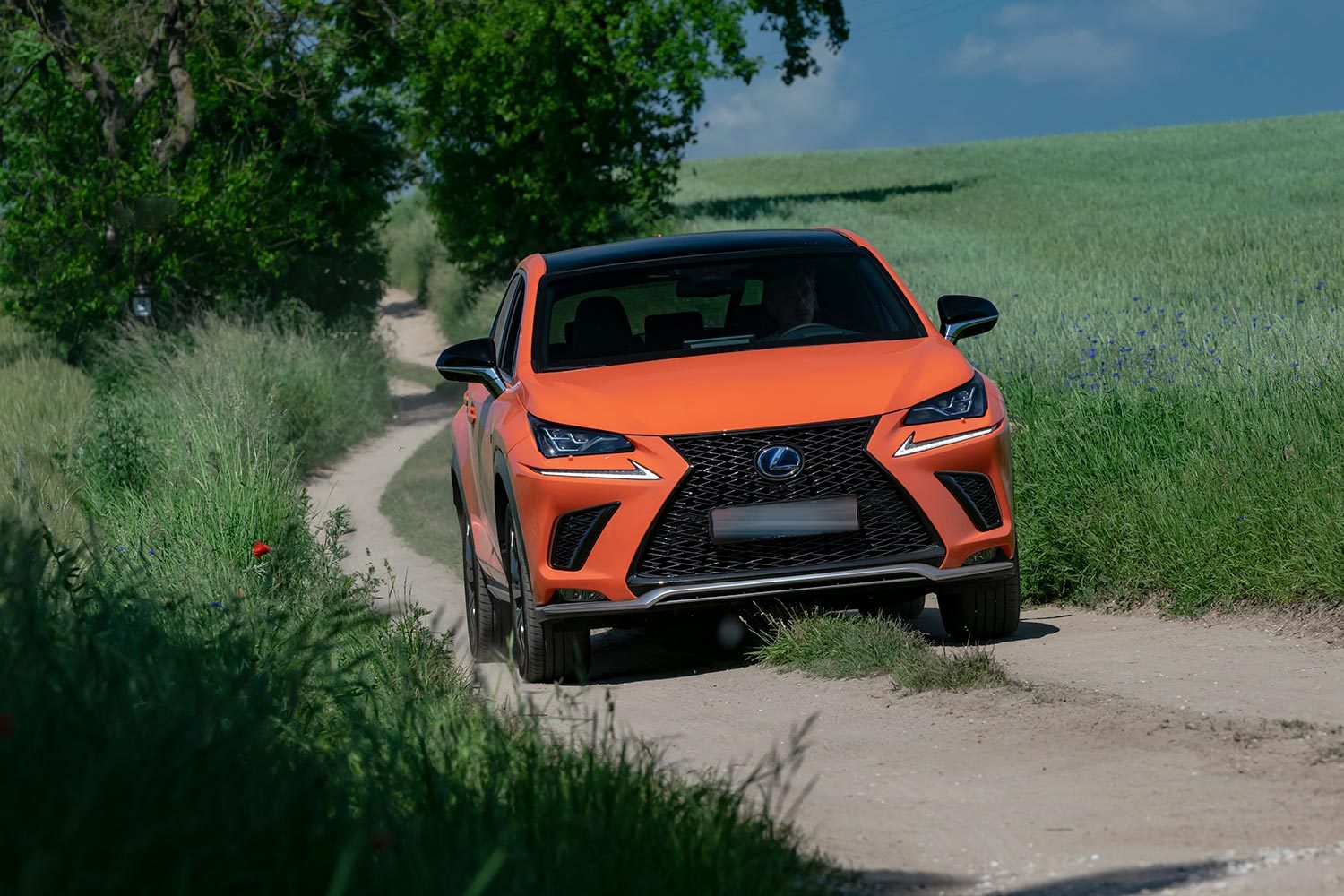 Lexus NX driving on the road