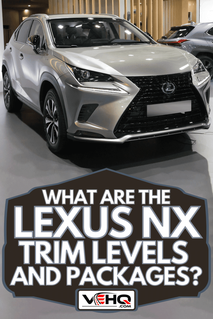 A Lexus NX 300h at automobile car show 2021 in Barcelona, What Are The Lexus NX Trim Levels And Packages?