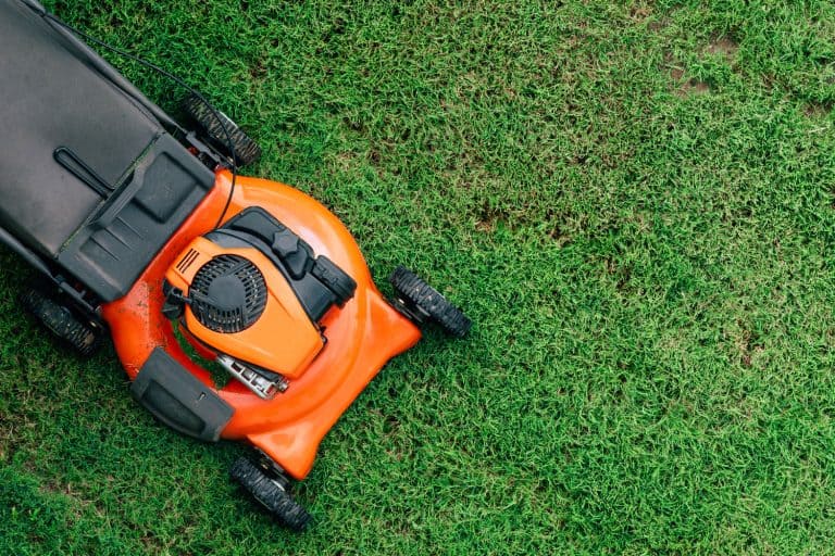 Lawn mowers cut grass. Garden work concept background, How To Tell If Lawn Mower Engine Is Blown