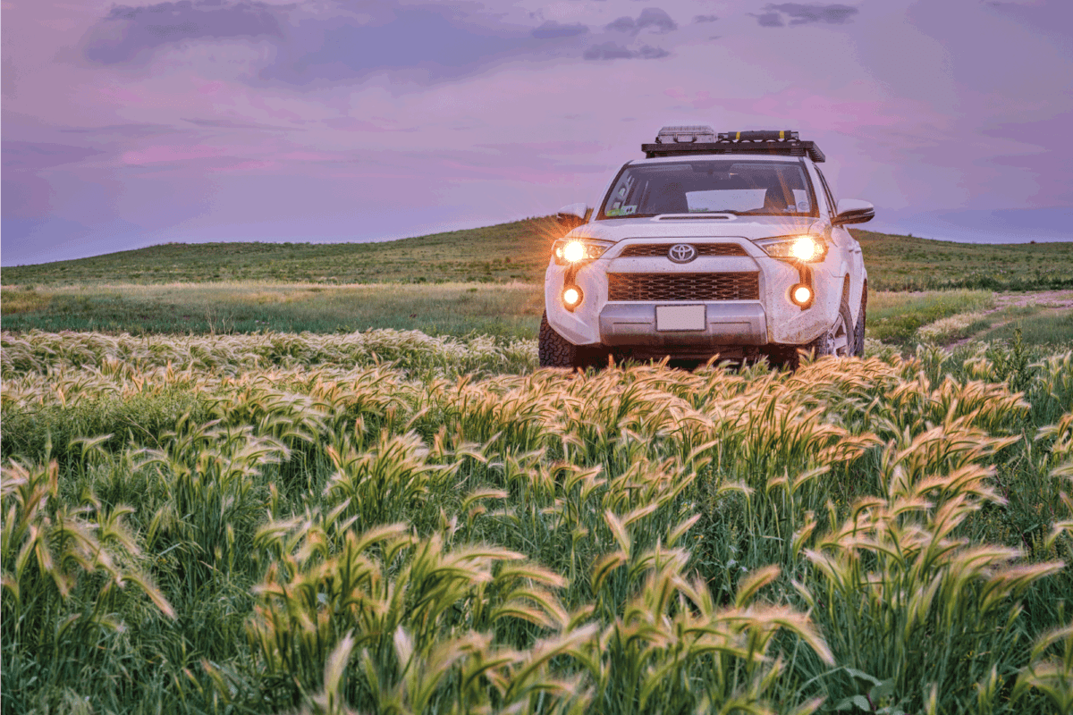 Toyota 4Runner SUV Trail edition at dusk in Pawnee National Grassland in northern Colorado