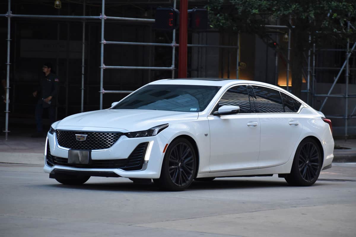 A Cadillac CT5 brings all to a stark halt in downtown