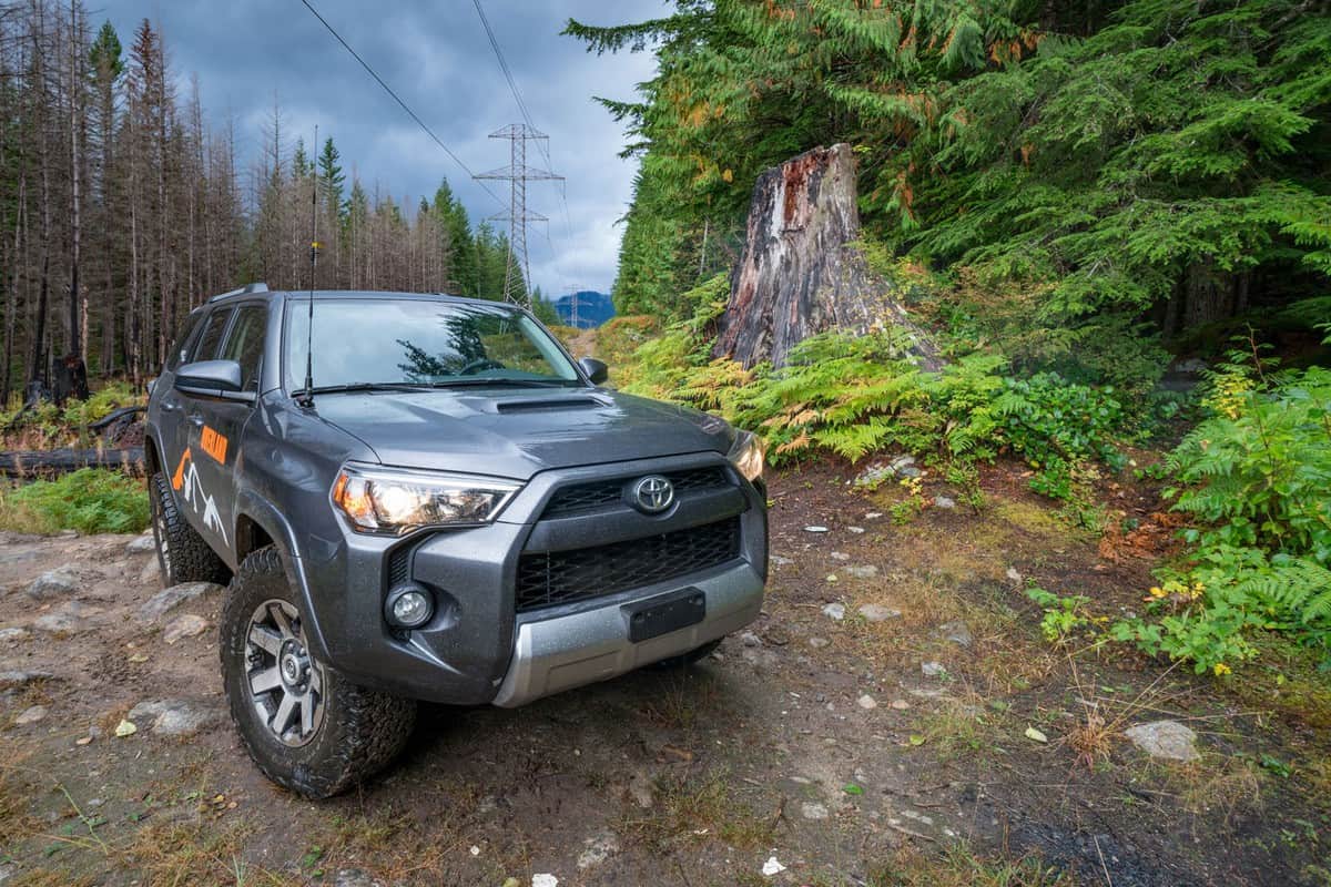 A Toyota 4Runner on the forest road
