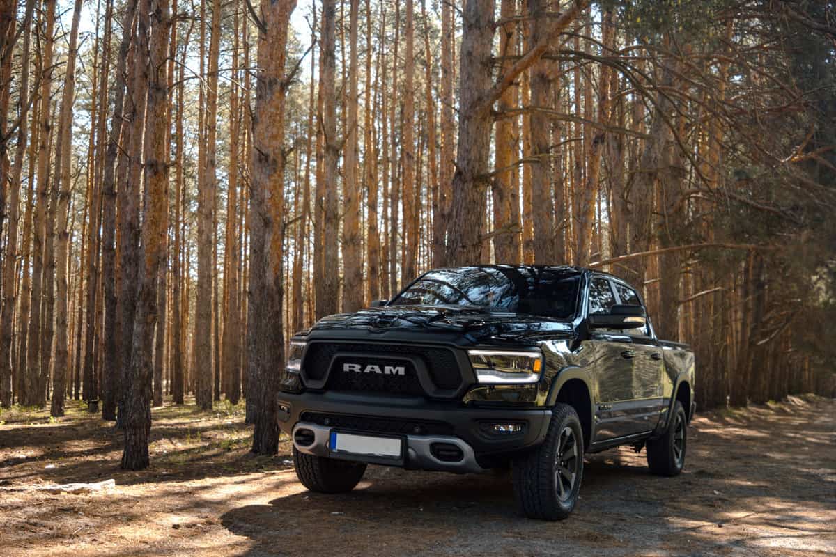 A huge black Ram truck at a small forest area 