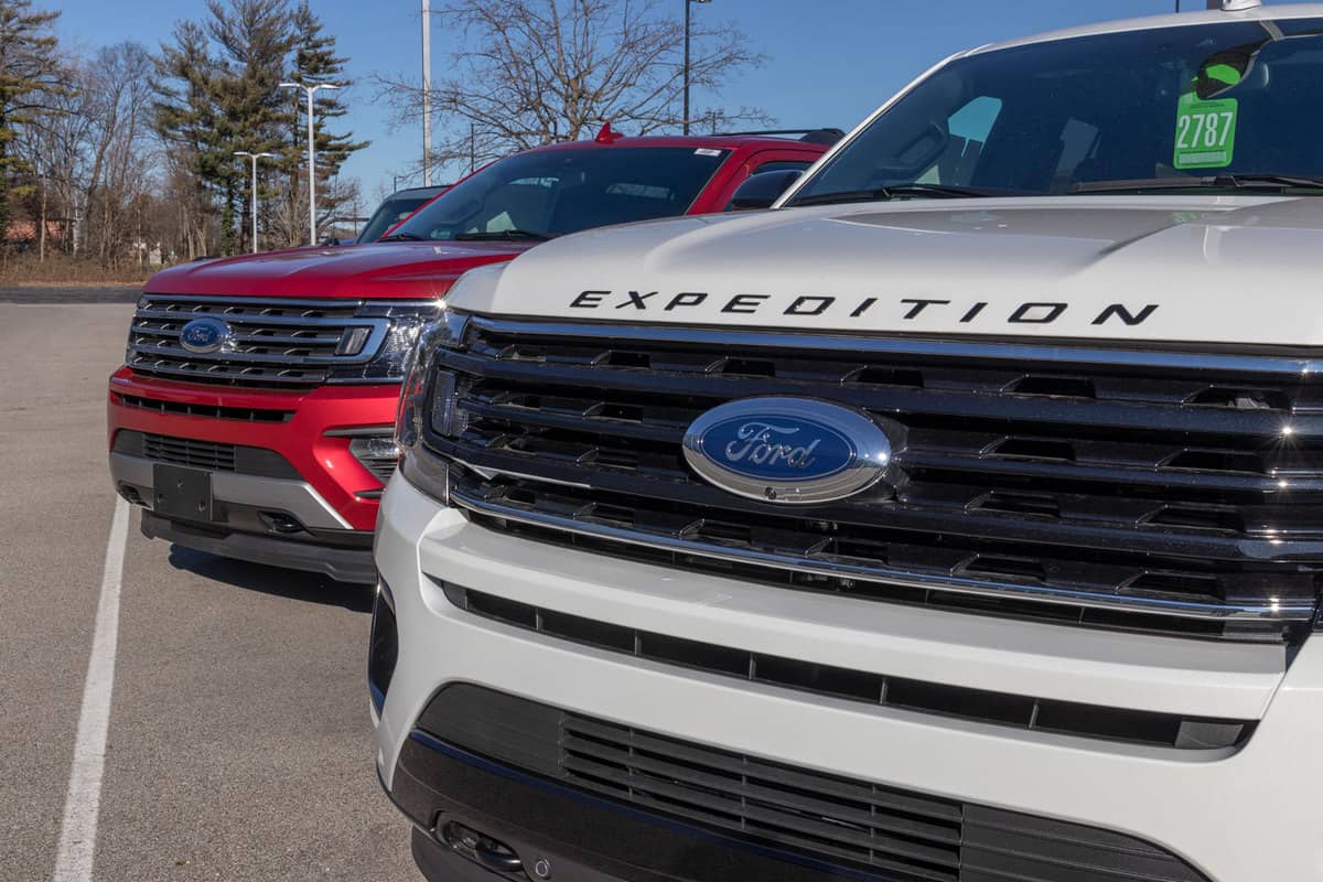 Different colors of Ford Expedition at a dealership