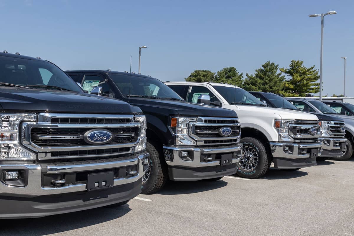Huge Ford F250s line up at a dealership