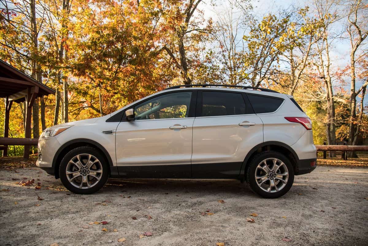 Silver Ford Escape parked near lake and fall leave