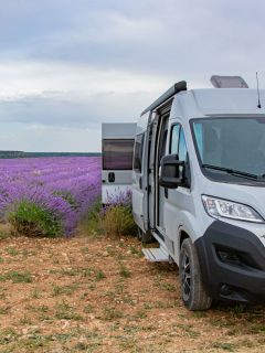 A RV parked at a lavender field, What States Allow You To Live In An RV On Your Property?