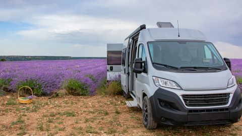 A RV parked at a lavender field, What States Allow You To Live In An RV On Your Property?