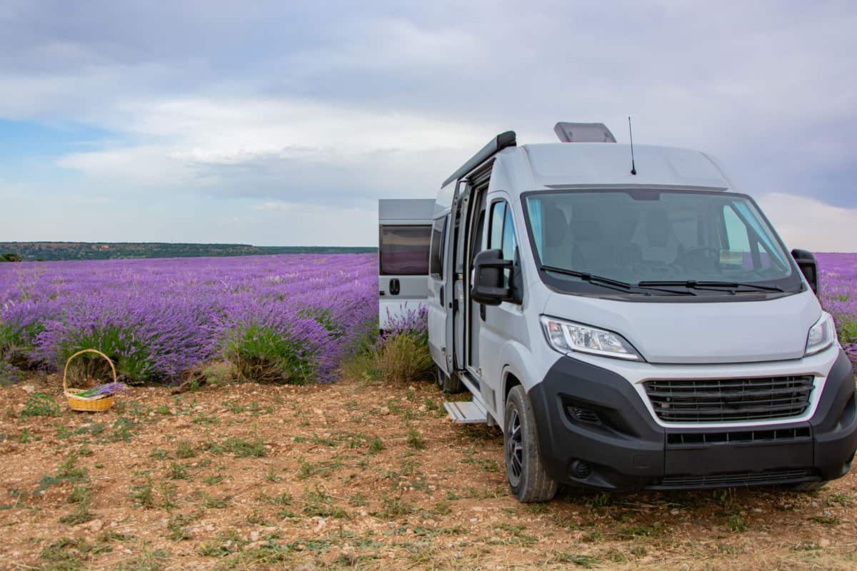 A RV parked at a lavender field