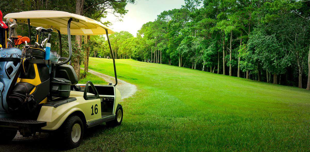 Golf cart or car on golf course